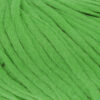 cucumber-1013-0017