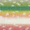 white-rainbow-1125-0006