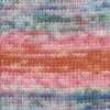 rose-orange-blue-1126-0002