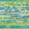 blue-lime-atlantique-1126-0005