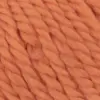 pumpkin-1000-0059