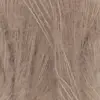 camel-1085-0039