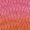 rosa-orange-rot-40-0015
