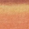orange-gelb-apricot-40-0016