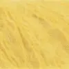 daffodils-1084-0014