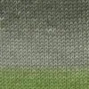 olive-mais-37-0014