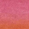 rosa-orange-rot-37-0016