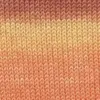 orange-gelb-apricot-37-0017