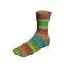 bunt-1119-lucerne-901-0358