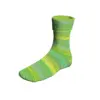 gruen-mint-1119-brienz-901-0361