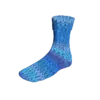 blau-1130-icebear-901-0430