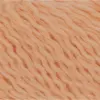 apricot-1133-0027