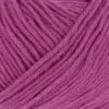 fuchsia-1142-0064