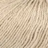 camel-1069-0039