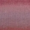 fuchsia-rot-rosa-1088-0002