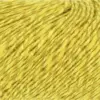 sunflower-1090-0049