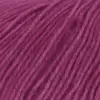fuchsia-1093-0066