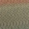 salbei-1109-0092