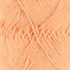 apricot-1112-0027