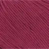 himbeere-112-0266