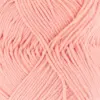 koralle-16-0029