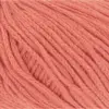 koralle-959-0061