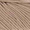 camel-1128-0039