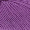 fuchsia-197-0266
