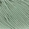 salbei-34-0091