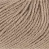 camel-72-0039