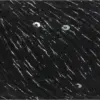 schwarz-989-0004