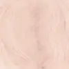 apricot-992-0027