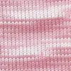 rosa-1030-0309