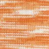 orange-1030-0359