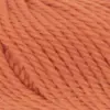 pumpkin-1061-0059