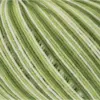 olive-ombre