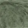spirulina-1149-0118