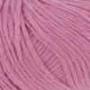 rosa-1153-0009