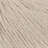 camel-1153-0039