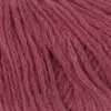 himbeere-1153-0066