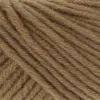 camel-1154-0039