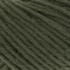 olive-1154-0098