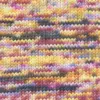 lilac-red-yellow-1147-0002