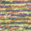 orange-purple-brick-1147-0004
