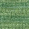 kale-1151-0117