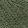 spirulina-1000-0118