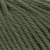 spirulina-1061-0118