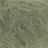 spirulina-1084-0118