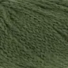 spirulina-1124-0118