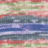 purple-red-green-1126-0012